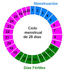 Con la menstruación se puede quedar embarazada