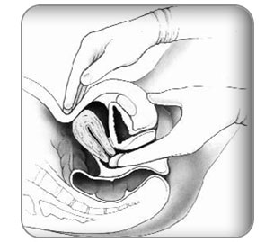 dra-cisneros-ginecologia-obstericia-pelvico